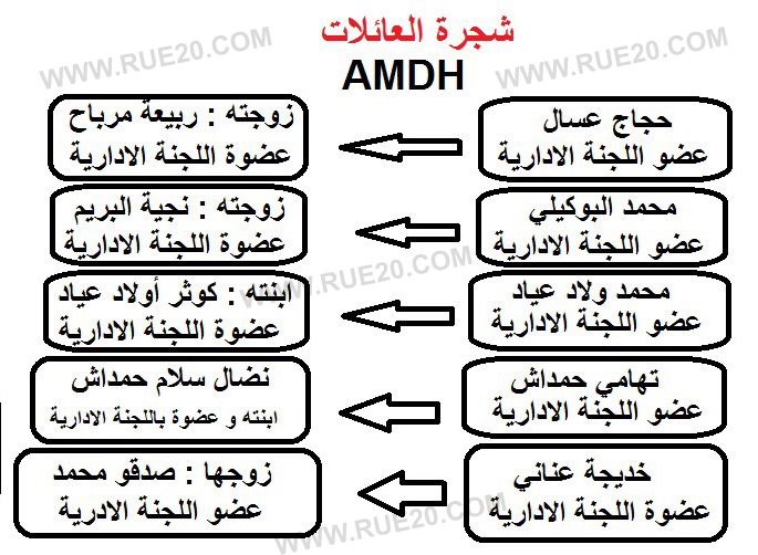 تفاصيل حصرية : شجرة العائلات : كيف تحولت الجمعية المغربية لحقوق الانسان الى جمعية العائلات للدفاع عن المصالح العائلية(رسوم شجرية)