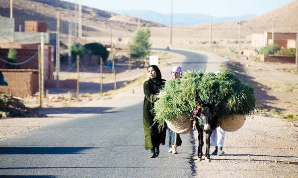 تحدي الألفية :'اقتصاد المغرب هش ومُتقلب مرهون بالتساقطات المطرية'