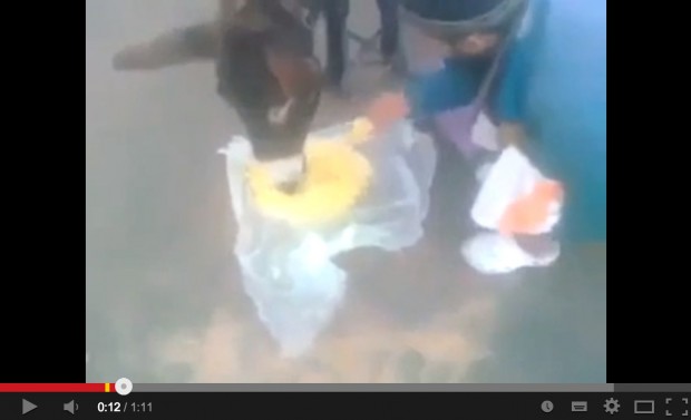 بالفيديو: مغاربة يُجبرون شخصاً على الأكل مع حماره وتقبيله