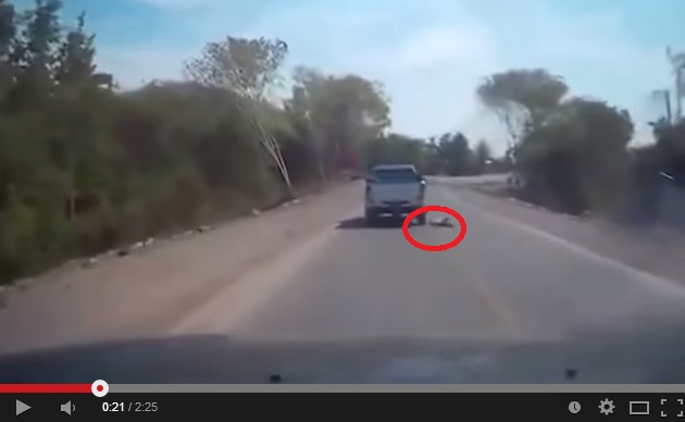 بالفيديو : شاهدوا كيف نجى رضيع بعد سقوطه من سيارة تسير بسرعة